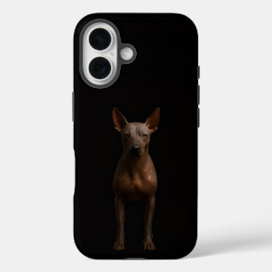 Schwarz 4 Luxe iPhone 16 Mate, Argentinischer Pila Hülle