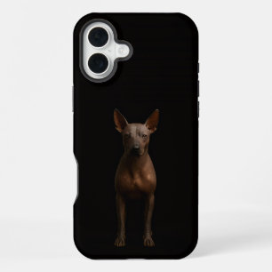 Schwarz 4 Luxe iPhone 16 Plus, Argentinien Pila Do Plus Hülle