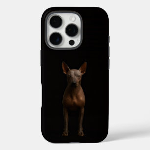 Schwarz 4 Luxe iPhone 16 Pro, Argentinischer Pila- Pro Hülle