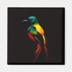 Schwarz 4 Luxe Magnet mit Regenbogen-Tropenvogel