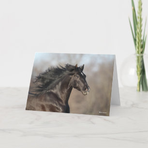 Schwarz-Andalusischer Headshot Mane Flows Karte