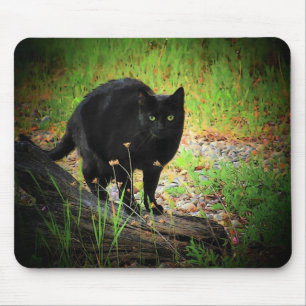 Schwarz auf der grünen, schwarzen Katze Mousepad