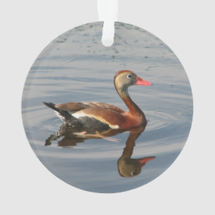 Schwarz-aufgeblähte Pfeifen-Ente Ornament