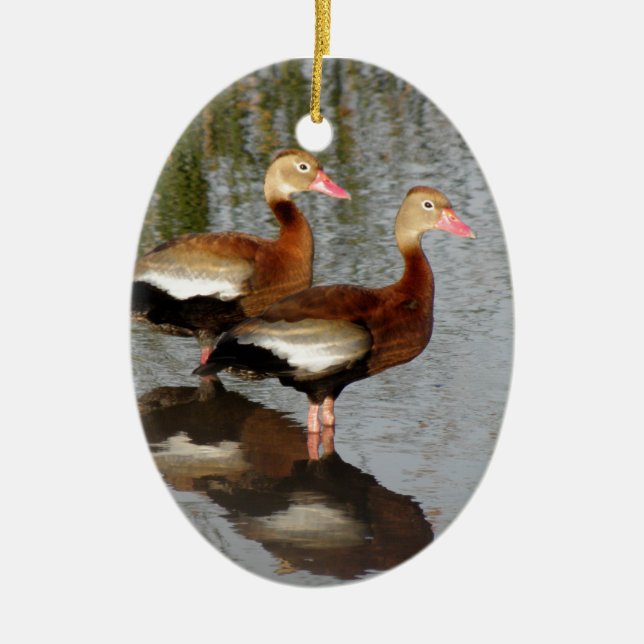 Schwarz-aufgeblähte pfeifende Ente Keramikornament (Vorne)
