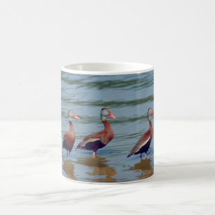 Schwarz-Aufgeblähte pfeifende Enten Kaffeetasse