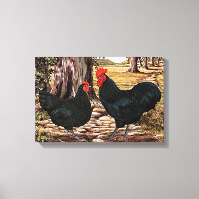 Schwarz-Australorp-Rooster und Hen in bewaldetem R Leinwanddruck (Vorderseite)