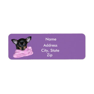 Schwarz-brauner Chihuahua-Welpe