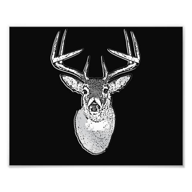 Schwarz-Design White Schwanz Deer Fotodruck (Vorne)