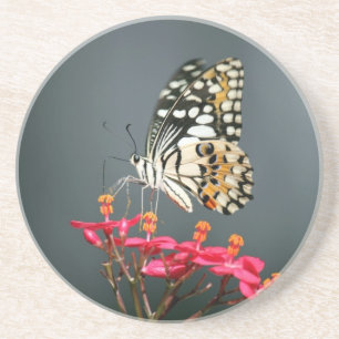 Schwarz-Gelb-Schmetterling auf rosa Blume Getränkeuntersetzer