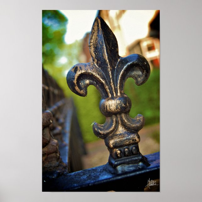 Schwarz & Gold (Lilie) [Kunstdruck] Poster (Vorne)