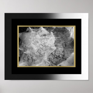 Schwarz-goldene tropische Muschel-Druckvorlage Poster