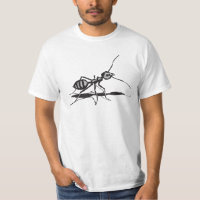 Schwarz-Grau-Insekten-Ant