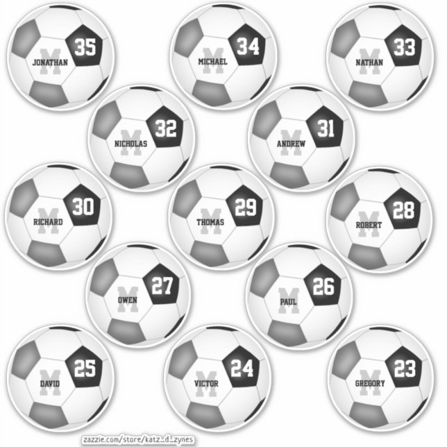 Schwarz-Grau-Team färbt Fußball-Bälle für 13 Spiel Aufkleber (Vorderseite)