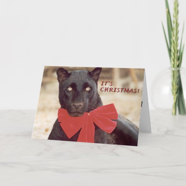 Schwarz-Leopard-Feiertagsbogen Feiertagskarte (Vorderseite)