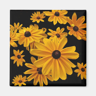 Schwarz-mit Augen Blumenmagnet für Susan Gelbe Blu Magnet