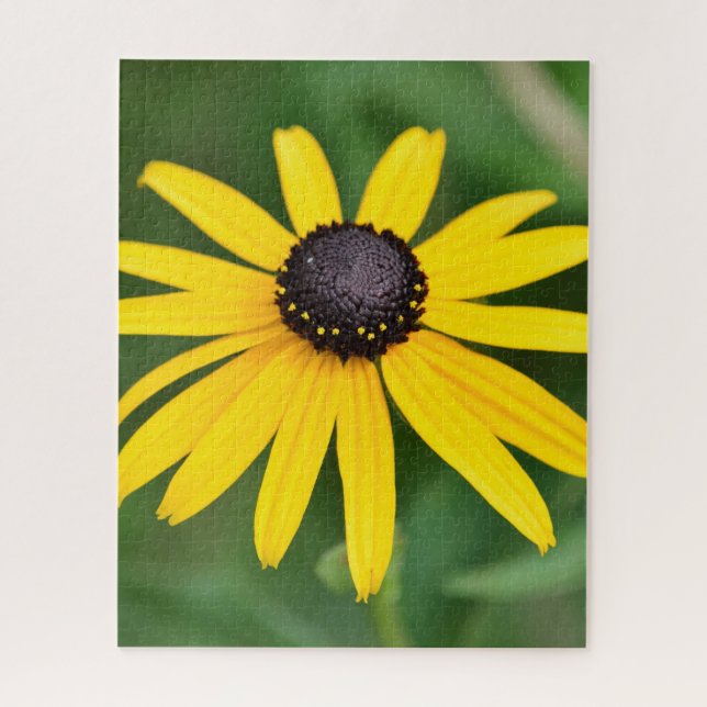 Schwarz Mit Augen Susan - 16x20 520 Stk. Blumenpuz (Vertikal)