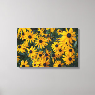 Schwarz-mit Augen Susan-Blumen-Leinwand Leinwanddruck