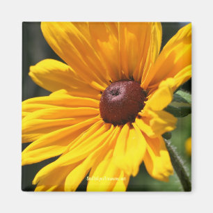 Schwarz-Mit Augen-Susan-Flower-Fotomagnet Magnet