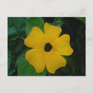 Schwarz-mit Augen Susan-Postkarte Postkarte