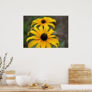 Schwarz-Mit Augen Susan- und Bienen-Plakat Poster