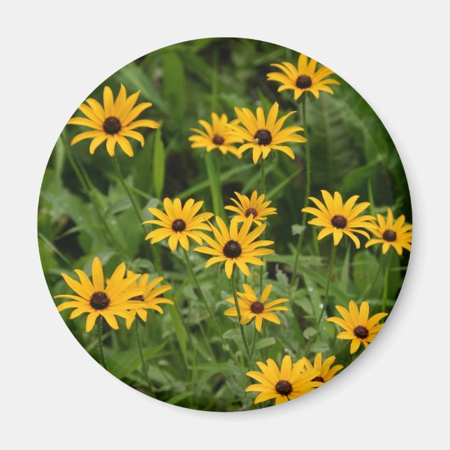 Schwarz-Mit Augen Susans-Magnet Magnet (Vorne)