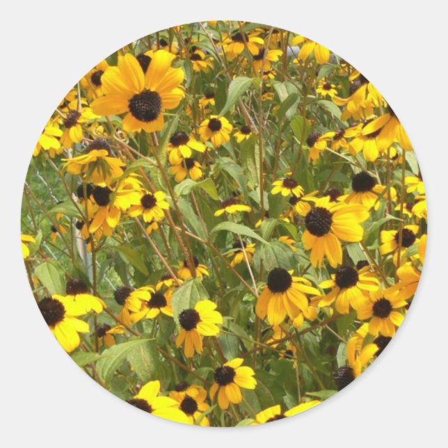 Schwarz-Mit Augen Susans Runder Aufkleber (Vorderseite)