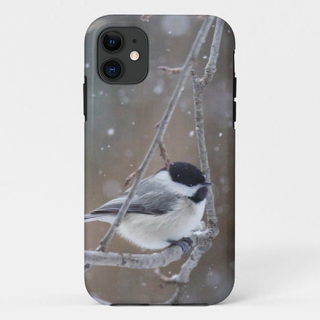 Schwarz-mit einer Kappe bedeckter Chickadee - Case-Mate iPhone Hülle (Rückseite)