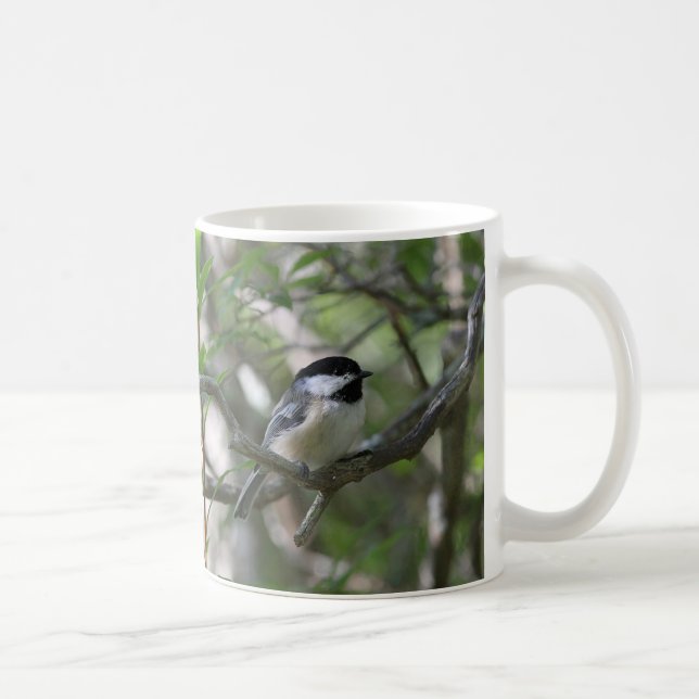 Schwarz-mit einer Kappe bedeckter Chickadee Kaffeetasse (Rechts)