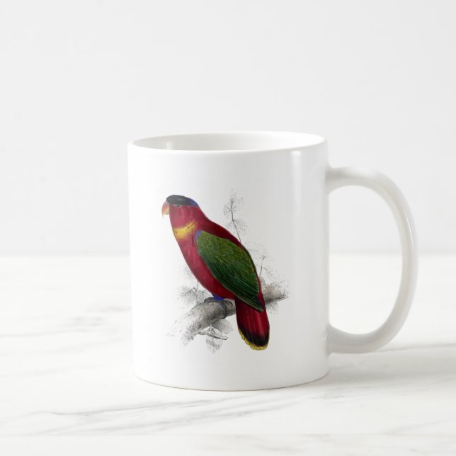 Schwarz-Mit einer Kappe bedeckter Lory durch Kaffeetasse (Rechts)