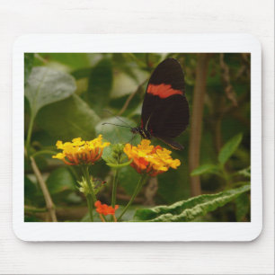 Schwarz mit rotem Flash-Butterfly Mousepad