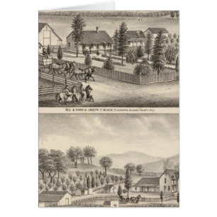 Schwarz, Nealresidenzen, Grundstücke