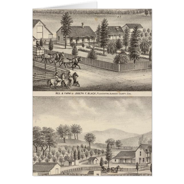 Schwarz, Nealresidenzen, Grundstücke (Vorne)