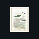 Schwarz-Neckeln am Wasser Leinwanddruck<br><div class="desc">Dieses schlichte und doch wunderschöne Kunstdrucke von zwei schwarzhackigen Pfahlen,  die an einem bewölkten Tag vom Wasser stehend werden,  wird für jedes Zazzle-Produkt perfekt aussehen. Die neutralen Farbtöne sind sehr entspannend und würden eine tolle Ergänzung zu Ihrer Zuhause oder Ihrem Büro darstellen.</div>