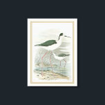 Schwarz-Neckeln am Wasser Leinwanddruck<br><div class="desc">Dieses schlichte und doch wunderschöne Kunstdrucke von zwei schwarzhackigen Pfahlen,  die an einem bewölkten Tag vom Wasser stehend werden,  wird für jedes Zazzle-Produkt perfekt aussehen. Die neutralen Farbtöne sind sehr entspannend und würden eine tolle Ergänzung zu Ihrer Zuhause oder Ihrem Büro darstellen.</div>