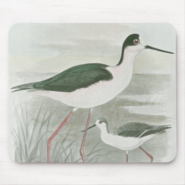 Schwarz-Neckeln am Wasser Mousepad (Vorne)