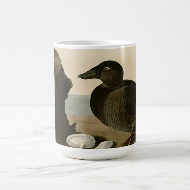 Schwarz-oder Brandungs-Ente Kaffeetasse (Mittel)