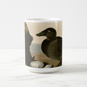 Schwarz-oder Brandungs-Ente Kaffeetasse