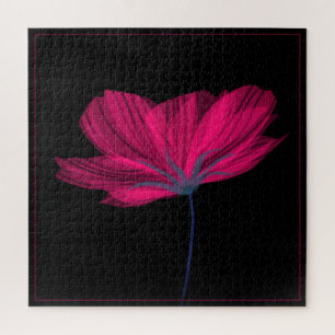 Schwarz-Rosa Blume Klassik Blumenmuseum
