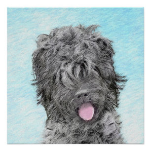 Schwarz-Russisch-Terrier-Malerei - Niedlicher Orig Poster