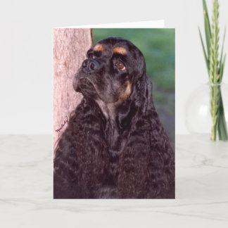 Schwarz & tan Champion Cocker Spaniel Grußkarte Karte