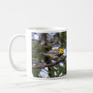 Schwarz-throated grüner Trällerer Kaffeetasse