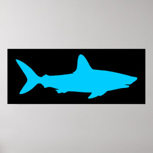 Schwarz und Aqua-Hai Poster