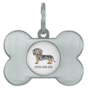Schwarz und Braun gescheckter Kurzhaar-Dachshund & Tiermarke