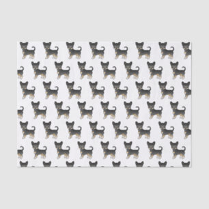 Schwarz und Braun glatthaariger Chihuahua-Hund-Mus Seidenpapier