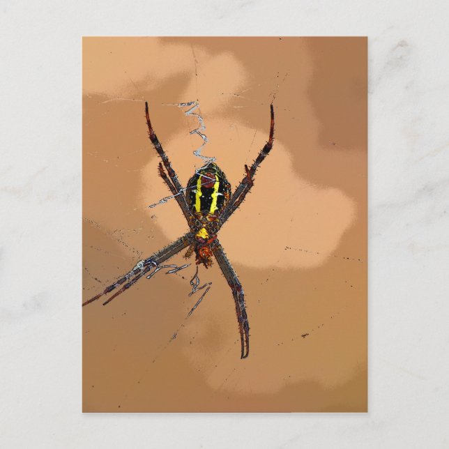 SCHWARZ UND GELBE QUEENSLAND AUSTRALIEN POSTKARTE (Vorderseite)