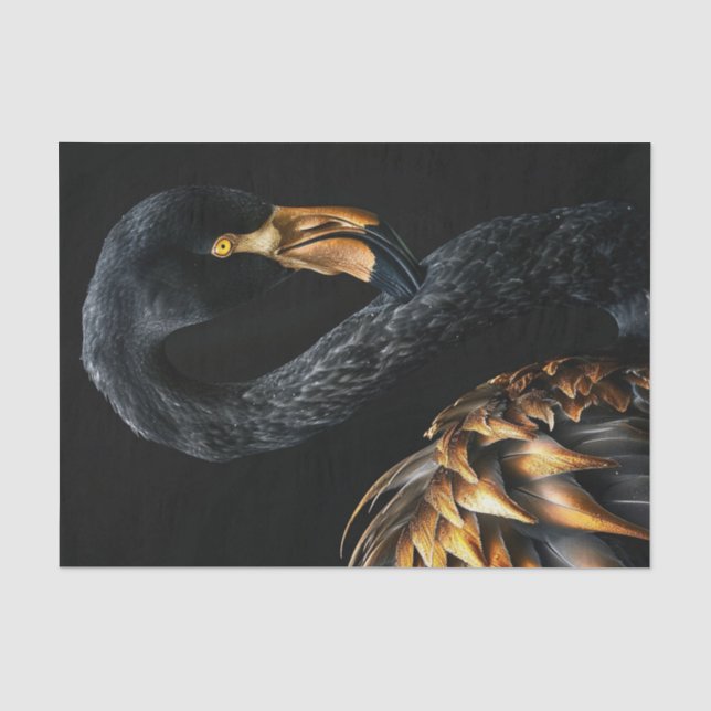 Schwarz und Gold Flamingo5 Seidenpapier (Vorderseite)