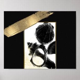 Schwarz und Gold tropische Muscheln Printmedien Ku Poster