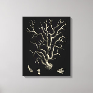 Schwarz und Tan Coral Leinwanddruck