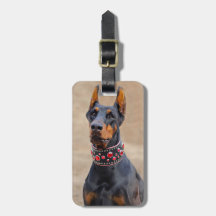 Schwarz und Tan Doberman Pinscher im Jewelkragen