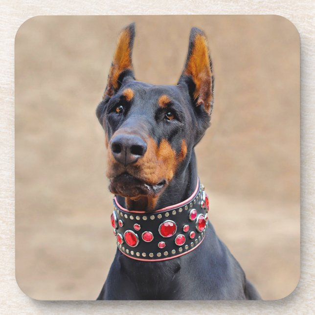 Schwarz und Tan Doberman Pinscher im Jewelkragen Getränkeuntersetzer (Vorderseite)